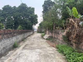 Chính chủ bán lô đất 100m2 full thổ cư đất tại bình xuyên vĩnh phúc cũ