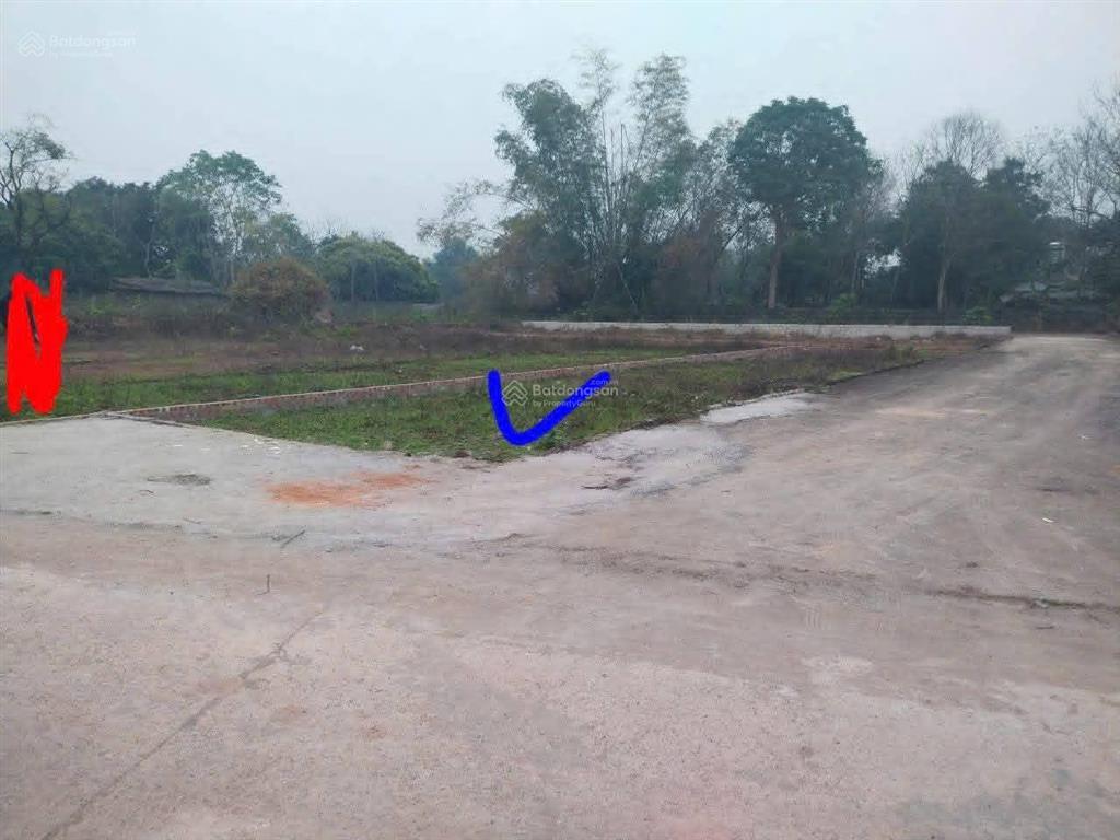 Chính chủ cần bán lô đất tại kim long tam dương cách chợ số 8 gần 1km