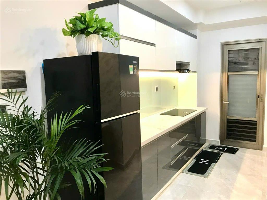 Cho thuê căn hộ the park midtown phú mỹ hưng m7, 2pn, full nội thất, giá 25tr/th