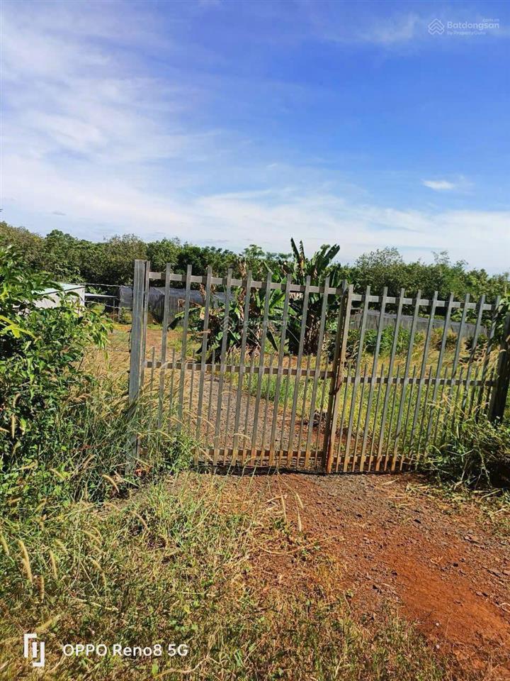 Bán gấp 2 sào 4 (2450m2) kế bên khu công nghiệp nhật  hàn, dân cư đông