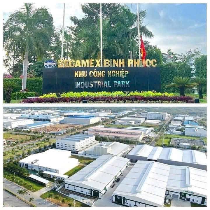 Kẹt tiền bán gấp 584m2, thổ cư 100m2, kế bên khu công nghiệp becamex, dân cư đông
