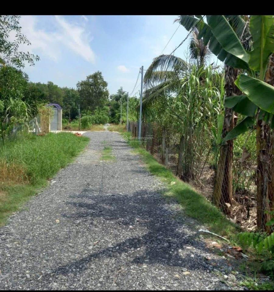 Cần sang nhượng mảnh vườn 2 sào 3 (2392m), dân cư đông, gần khu công nghiệp bình phước.