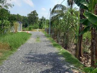 Cần sang nhượng mảnh vườn 2 sào 3 (2392m), dân cư đông, gần khu công nghiệp bình phước.