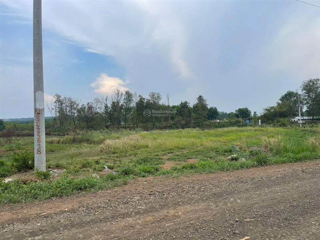 Đáo hạn ngân hàng cần bán gấp 1 sào (1029,3m2), dân cư đông, gần kcn việt  nhật, giá 450 triệu