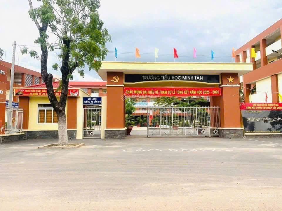Kẹt tiền sang gấp 438m2 (10x43m) thổ cư 200m2, đối diện công ty gỗ, dân cư đông