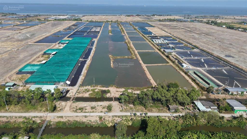 Đất biển gò công kiếng phước gò công tiền giang