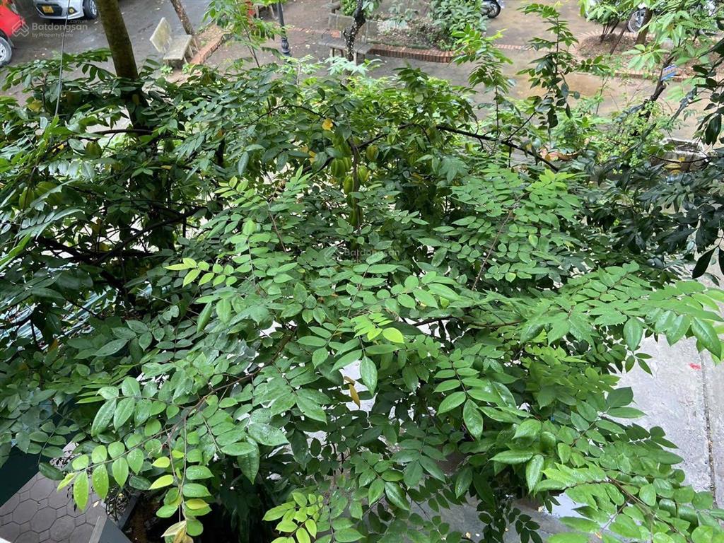 Cho thuê liền kề vạn phúc, hà đông, 60m2, 5 tầng, ô tô tránh, vỉa hè, 15 triệu/tháng