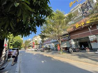 Cho thuê shophouse mặt đường tố hữu vạn phúc, hà đông, 120m, mt10m, thang máy, kinh doanh đắc địa!