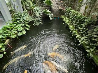 Bán biệt thự đẳng cấp trần thủ độ 286m 4 tầng sân vườn, gara ô tô