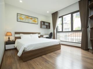 Cho thuê căn hộ dịch vụ 1pn đào tấn, ba đình full nội thất mới 100%, view cực đẹp
