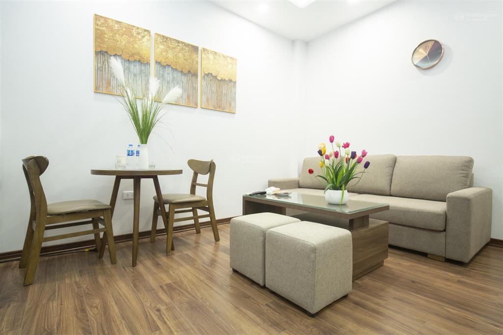 Cho thuê căn hộ dịch vụ 1pn đào tấn, ba đình full nội thất mới 100%, view cực đẹp