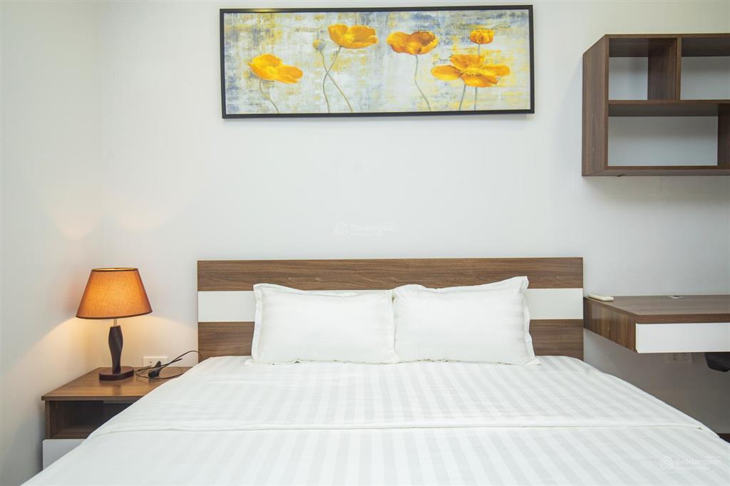 Cho thuê căn hộ dịch vụ 1pn đào tấn, ba đình full nội thất mới 100%, view cực đẹp