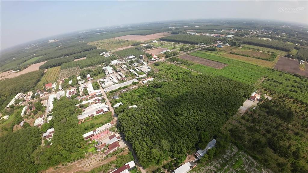 Chính chủ bán lô đất trừ văn thố, bàu bàng, bình dương  đón đầu sóng đầu tư