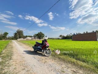 Đất xây nhà 5x25m giá 620tr và 10x25m giá 1ty2 ô tô tới đất