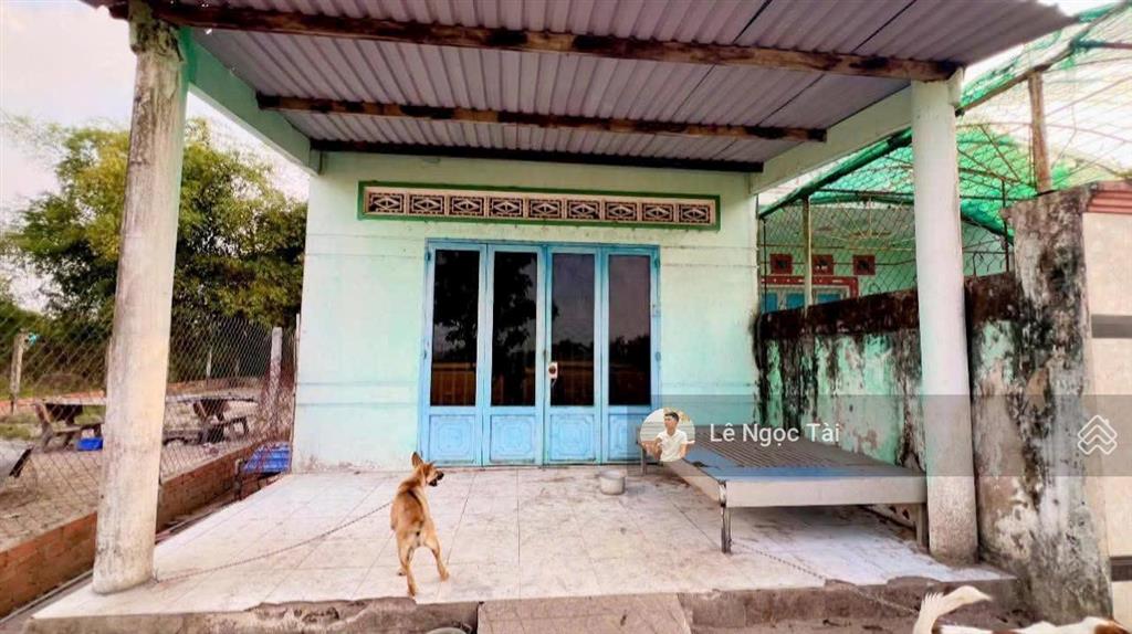 Nhà cấp 4 đức hòa thượng 5x28m