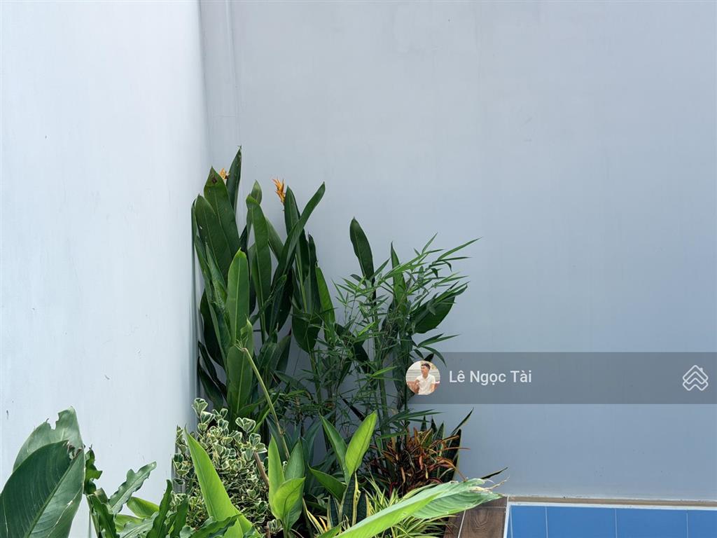Nhà đức hòa đông có hồ bơi 5x28m giá 2ty550 có 3 phòng ngủ 3 vệ sinh