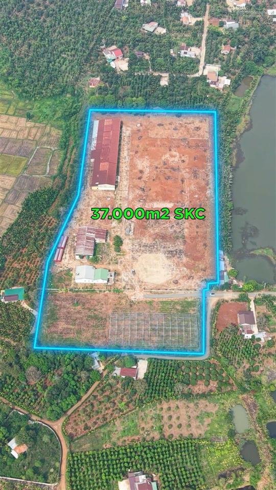 Bán nhà xưởng tại cưkiun  đắk lắk
