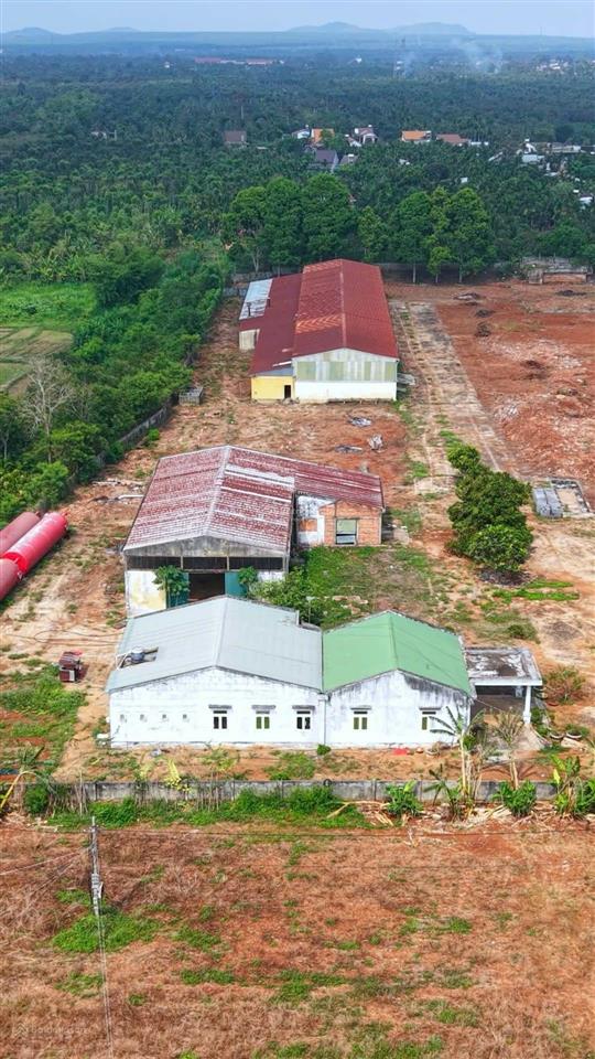 Bán nhà xưởng tại cưkiun  đắk lắk