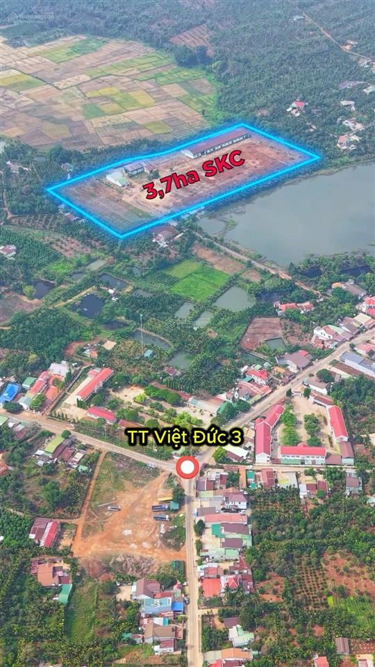 Bán nhà xưởng tại cưkiun  đắk lắk