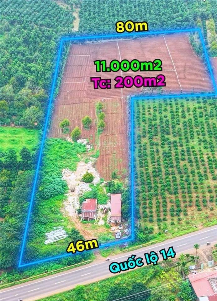 Bán đất mặt tiền quốc lộ 14 cuôr đăng  đắk lắk
