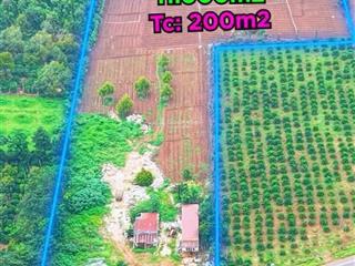 Bán đất mặt tiền quốc lộ 14 cuôr đăng  đắk lắk