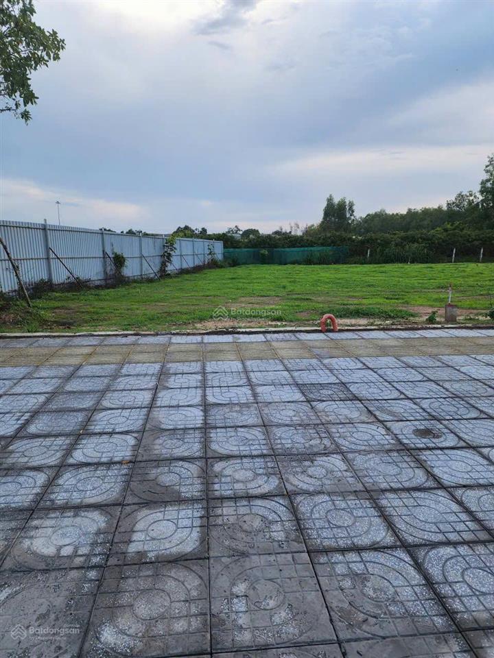 Chính chủ bán lô đất diện tích 350m2 giá chỉ 4,2 tỷ tại hồ tràm, hồ chí minh