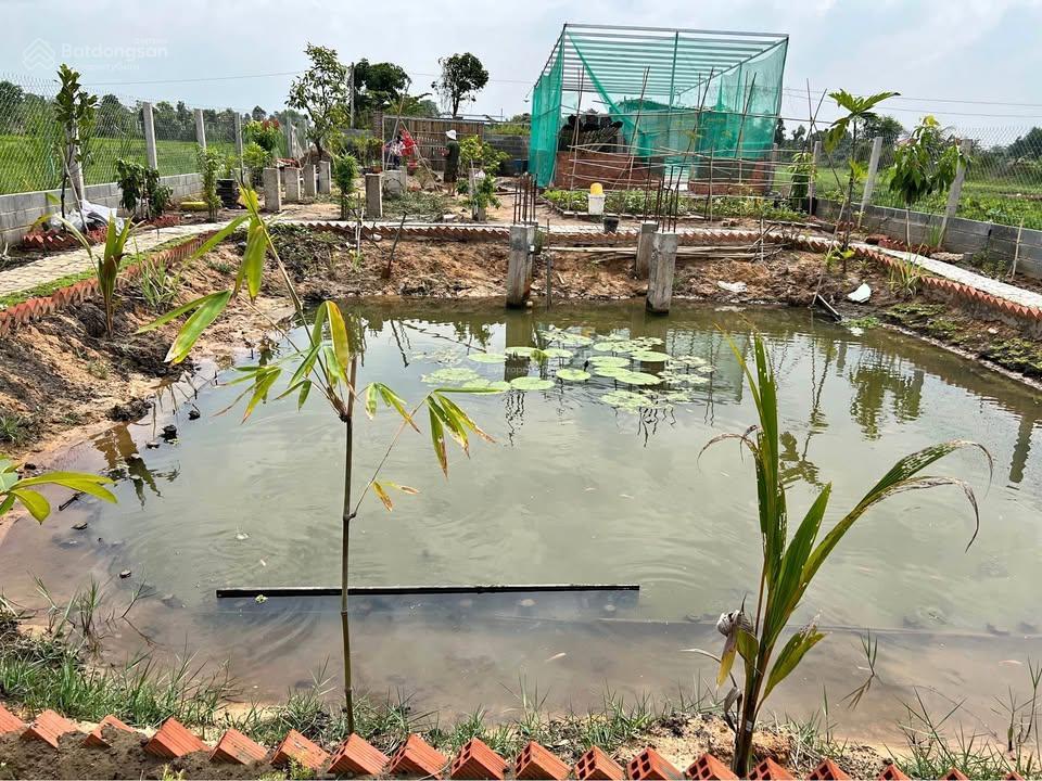 Bán lô đất vườn ngay tỉnh lộ 7, 858m2 sổ hồng riêng, đường nhựa chỉ 1.4 tỷ