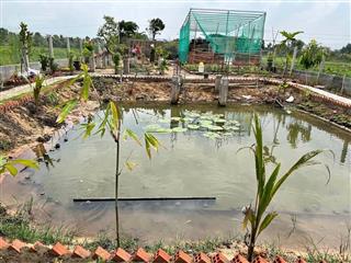 Bán lô đất vườn ngay tỉnh lộ 7, 858m2 sổ hồng riêng, đường nhựa chỉ 1.4 tỷ