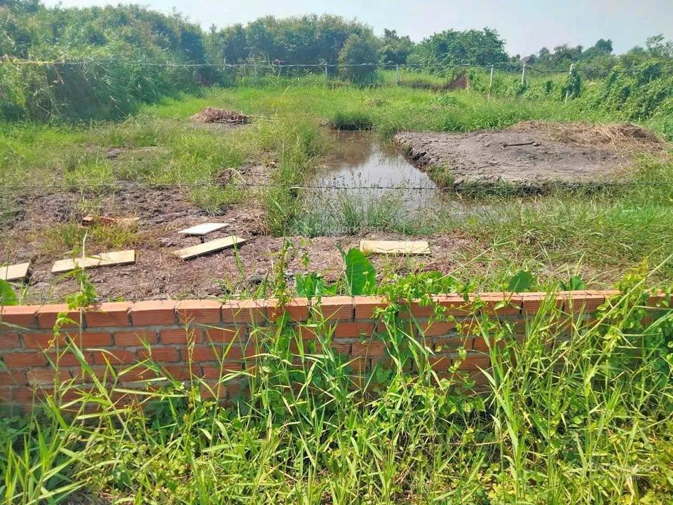 Bán lô đất vườn ngay tỉnh lộ 7, 858m2 sổ hồng riêng, đường nhựa chỉ 1.4 tỷ