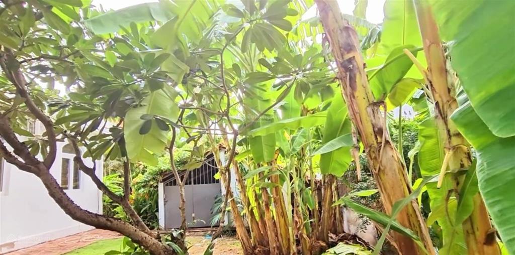 Biệt thự 820m2, 20x48, hồ bơi sân vườn, khu compound riêng tư cực kỳ an ninh, giá 175 tỷ tl