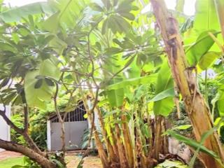 Bán biệt thự 20x48, sân vườn hồ bơi, thảo điền, khu compound riêng tư cực kỳ an ninh, 200tr/m