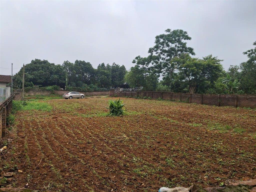 Bán đất tại tề lễ tam nông 343,7m2