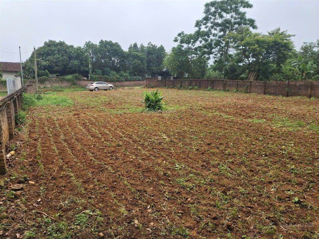 Chính chủ bán lô đất tề lễ tam nông 343,7m2