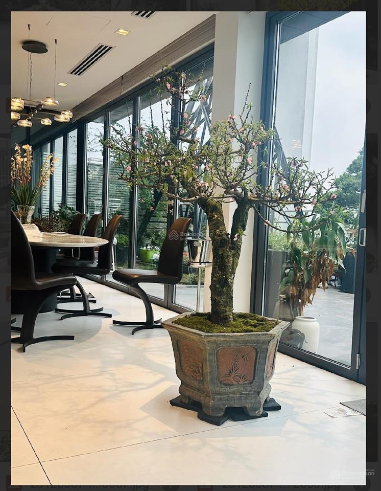 Pháp lý chuẩnccmg| penthouse duplex mỹ đình pearl 3pn+14vs440m2sân vườn riêngcực hiếmsẵn sổ !
