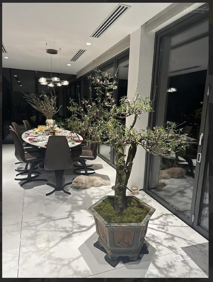 Pháp lý chuẩnccmg| penthouse duplex mỹ đình pearl 3pn+14vs440m2sân vườn riêngcực hiếmsẵn sổ !