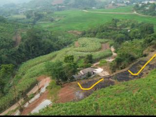 Bán đất view ruộng bậc thang diện tích 1060m tại cao phong, hoà bình cách hà nội 90km