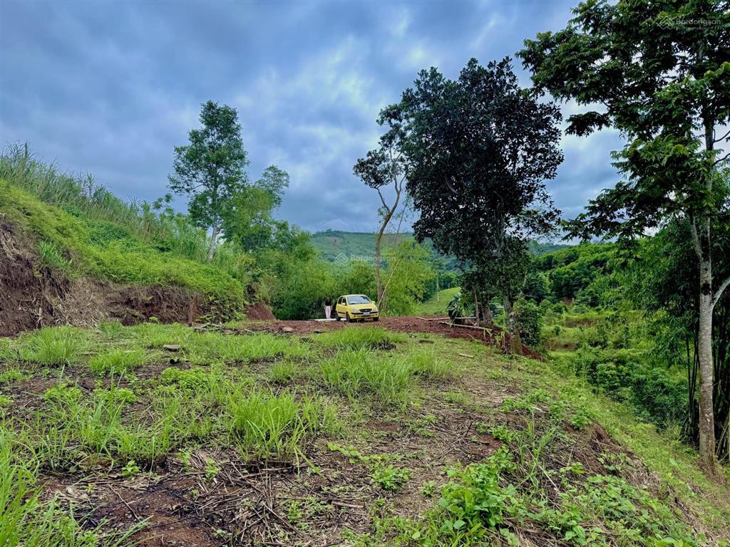 Đất 1060m, 400m thổ cư gần suối, view ruộng bậc thang tại cao phong, hoà bình