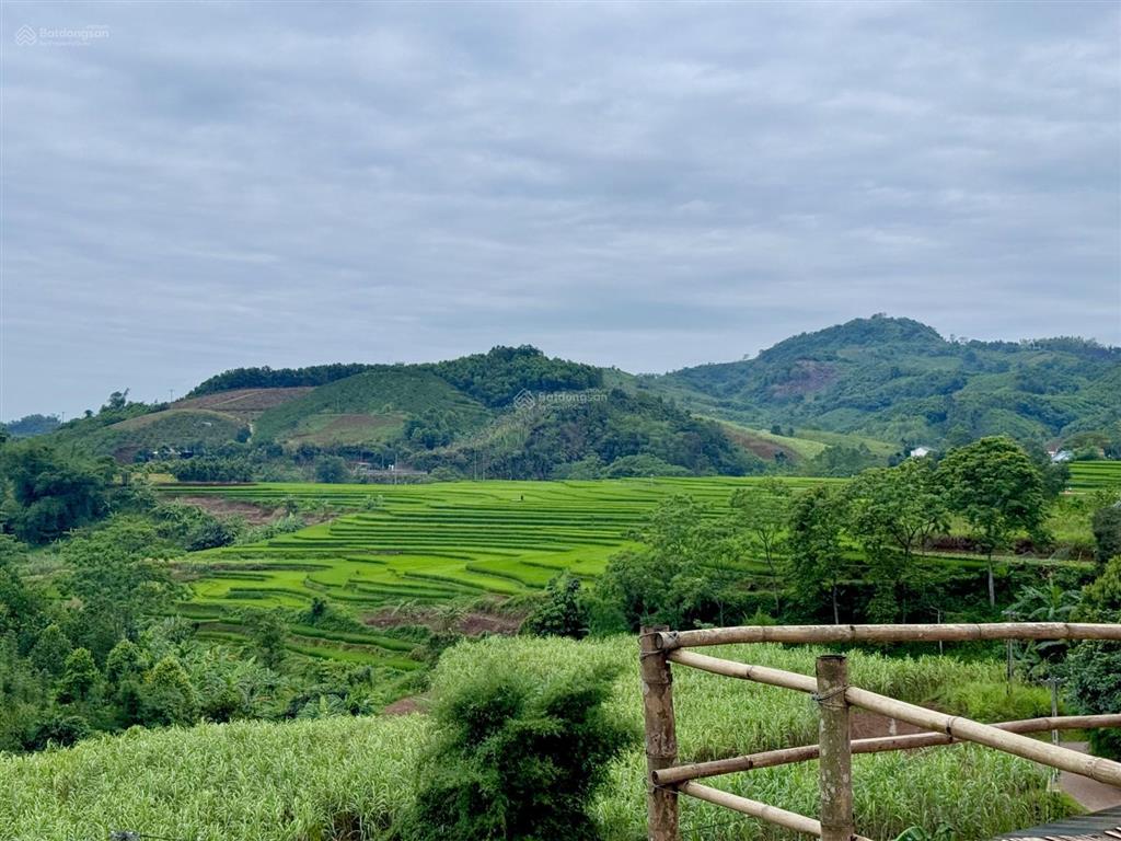 Đất 1060m, 400m thổ cư gần suối, view ruộng bậc thang tại cao phong, hoà bình