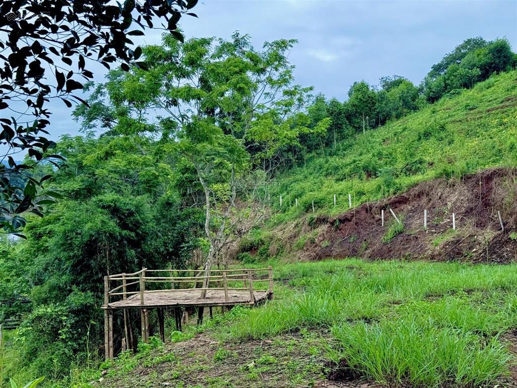 Đất 1060m, 400m thổ cư gần suối, view ruộng bậc thang tại cao phong, hoà bình