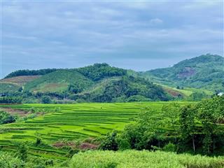 Đất 1060m, 400m thổ cư gần suối, view ruộng bậc thang tại cao phong, hoà bình