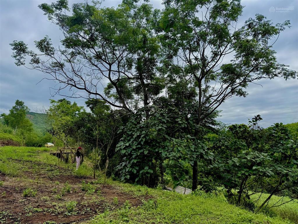 Đất 1060m, 400m thổ cư gần suối, view ruộng bậc thang tại cao phong, hoà bình