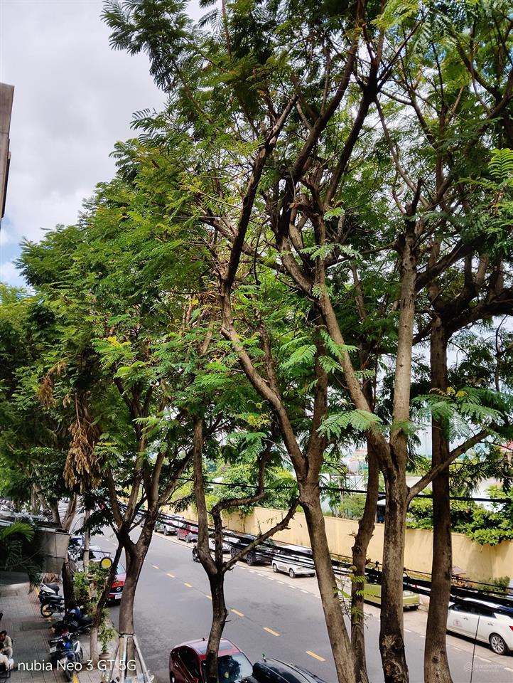 Bán nhà 2 mặt tiền đường tiểu la  tp đà nẵng