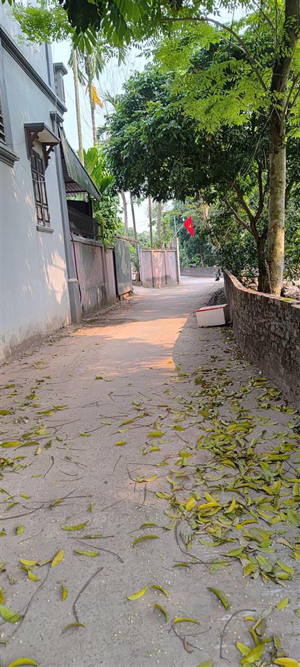 Chính chủ cần bán gấp lô đất 210m2 lô góc thoáng 3 mặt tiền ô tô tránh vào đất. ngay cạnh nhà văn