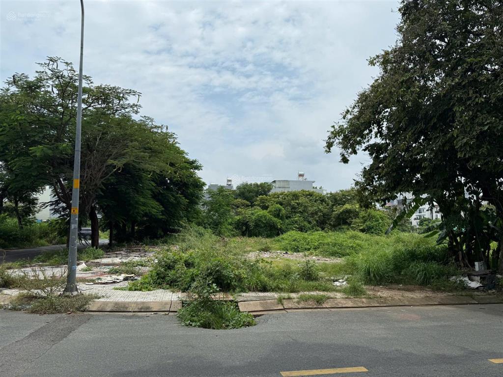 Cho thuê đất 253,7m2 khu tái định cư 50ha cát lái, phường cát lái, tp. thủ đức, tp. hcm