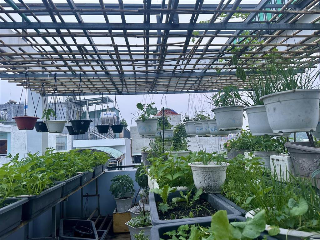 Nhà đẹp  vào ở ngay  tất cả đã sẵn sàng!