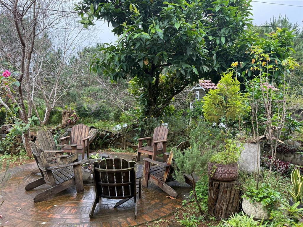 Bán căn homestay view rừng, đường hoàng thị loan, măng đen