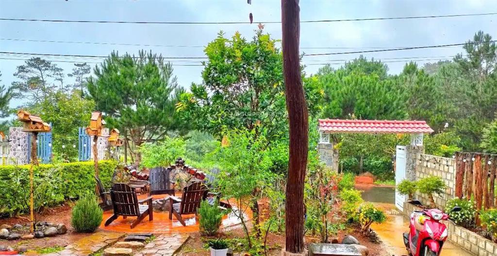 Bán căn homestay view rừng, đường hoàng thị loan, măng đen