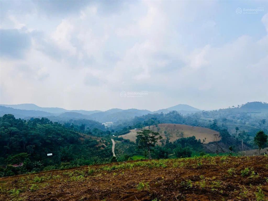 Bán 5.000m² đất view săn mây làng du lịch kon chênh cách trung tâm măng đen 5km