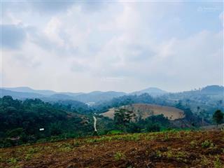 Bán 5.000m² đất view săn mây làng du lịch kon chênh  cách trung tâm măng đen 5km