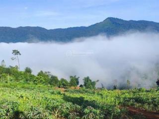 Lô đất siêu phẩm săn mây khu 37 hộ  măng đen, diện tích 6900m2